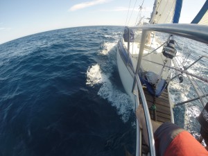 Sailing ACTION picture or something like that. At least that's how they're called in the brochure.