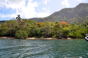 Remember the jungle bay in Trinidad? Behold Scotland Bay!